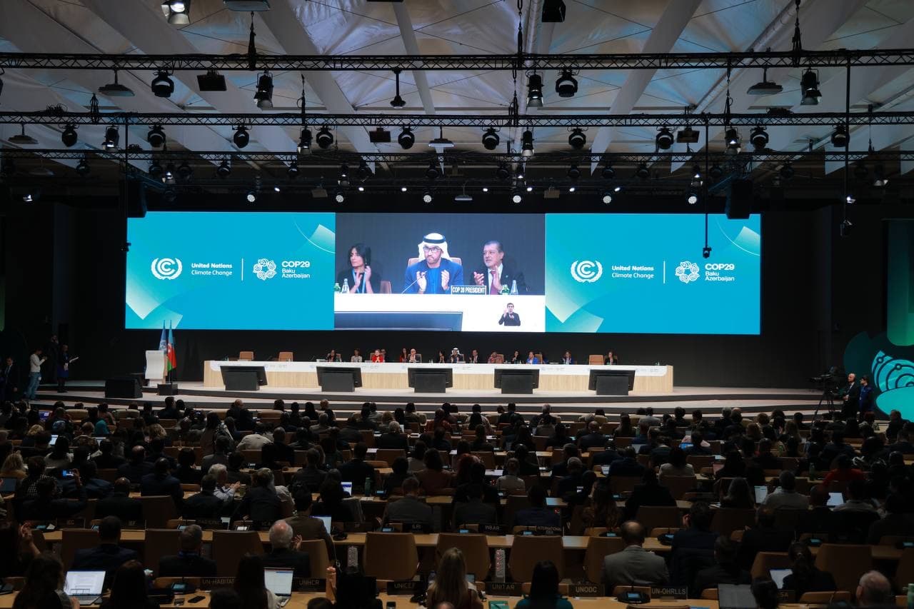 COP29: Зеленые традиции и инновации Узбекистана в фокусе международного внимания