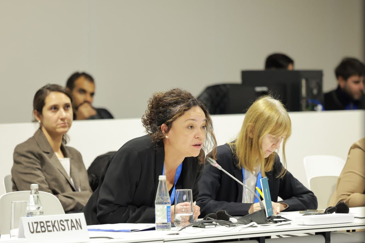 Перспективы сотрудничества для Центральной Азии и Кавказа обсуждены в рамках глобальной климатической конференции