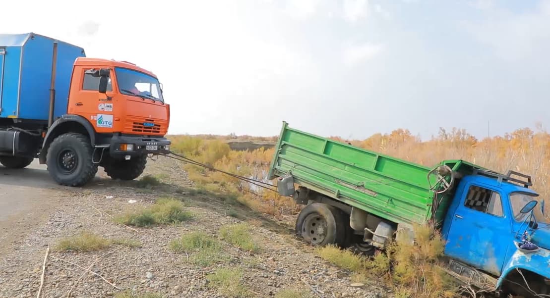 Buxoroda saksovul kushandalariga qariyb 40 million so‘m jarima belgilandi