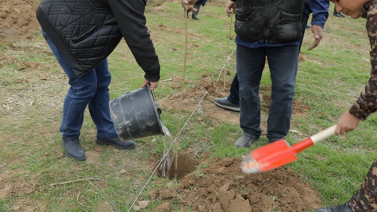 В Ташкентском районе предупреждены руководители теплиц