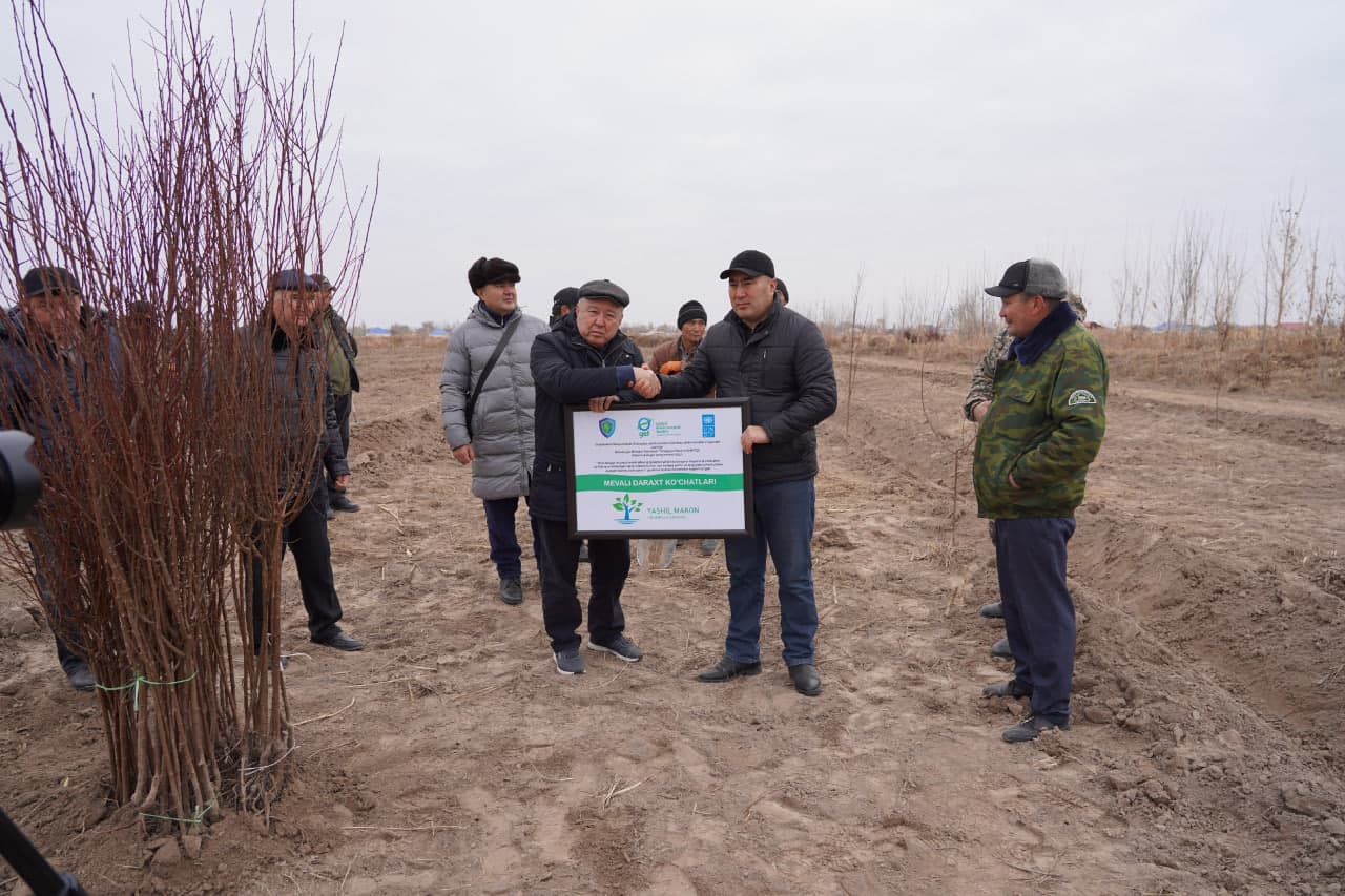 3,000 fruit trees will be planted in Muynak district
