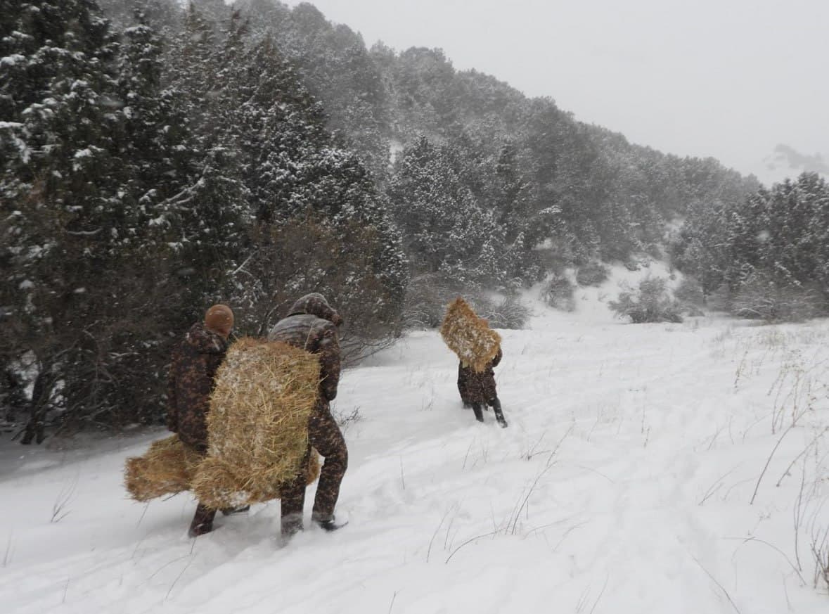 На охраняемых природных территориях страны проводят биотехнические мероприятия
