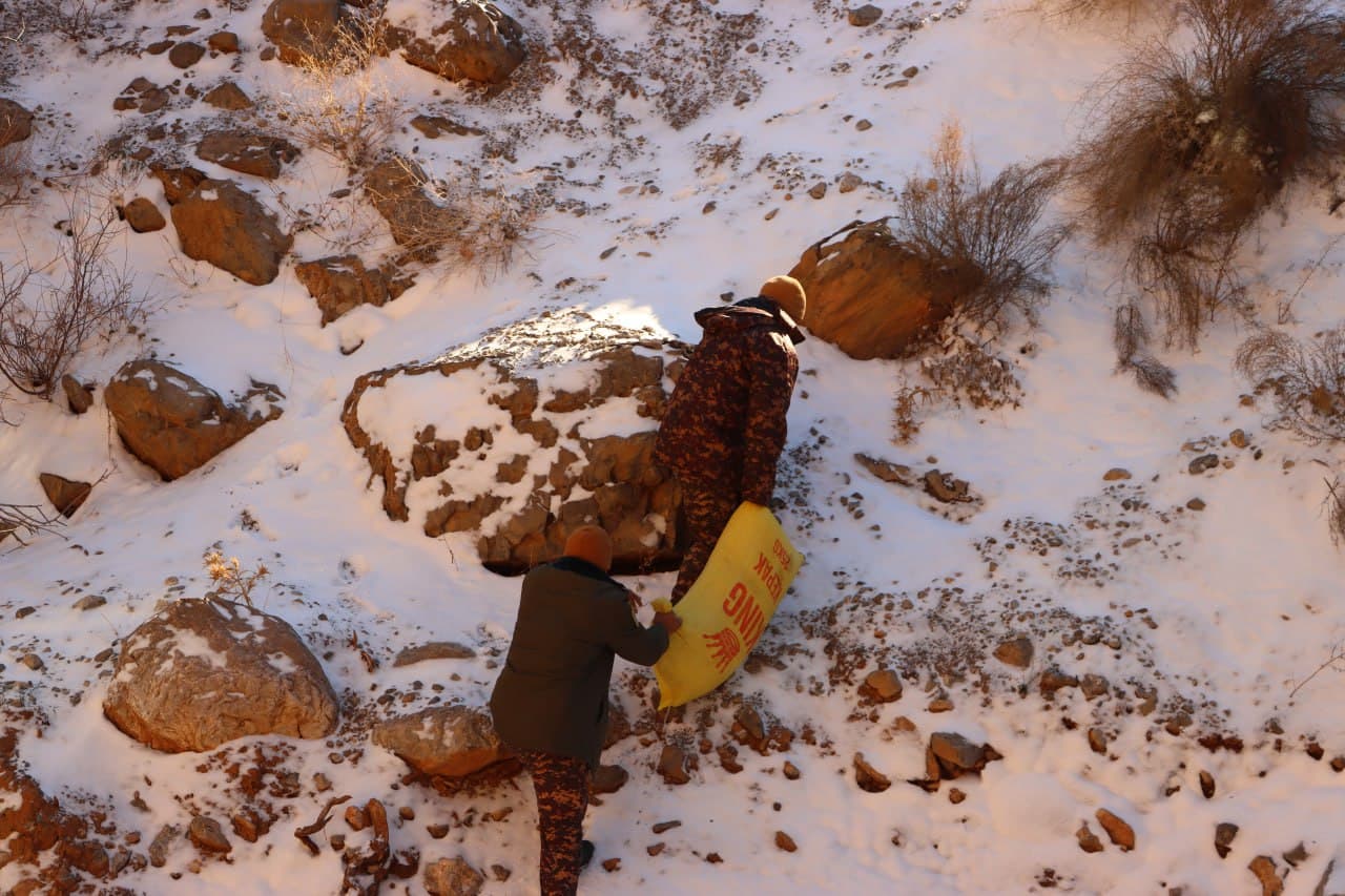 На охраняемых природных территориях страны проводят биотехнические мероприятия