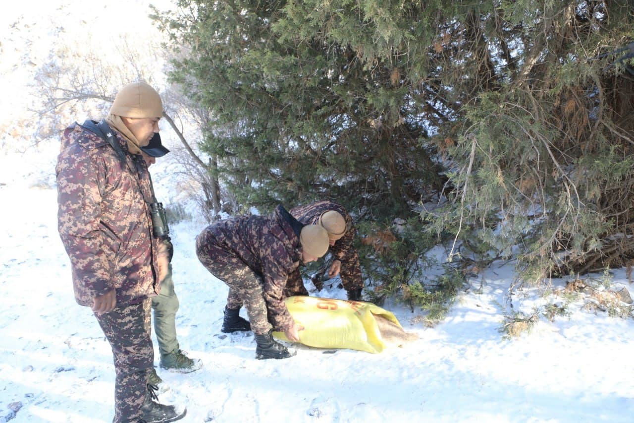 На охраняемых природных территориях страны проводят биотехнические мероприятия