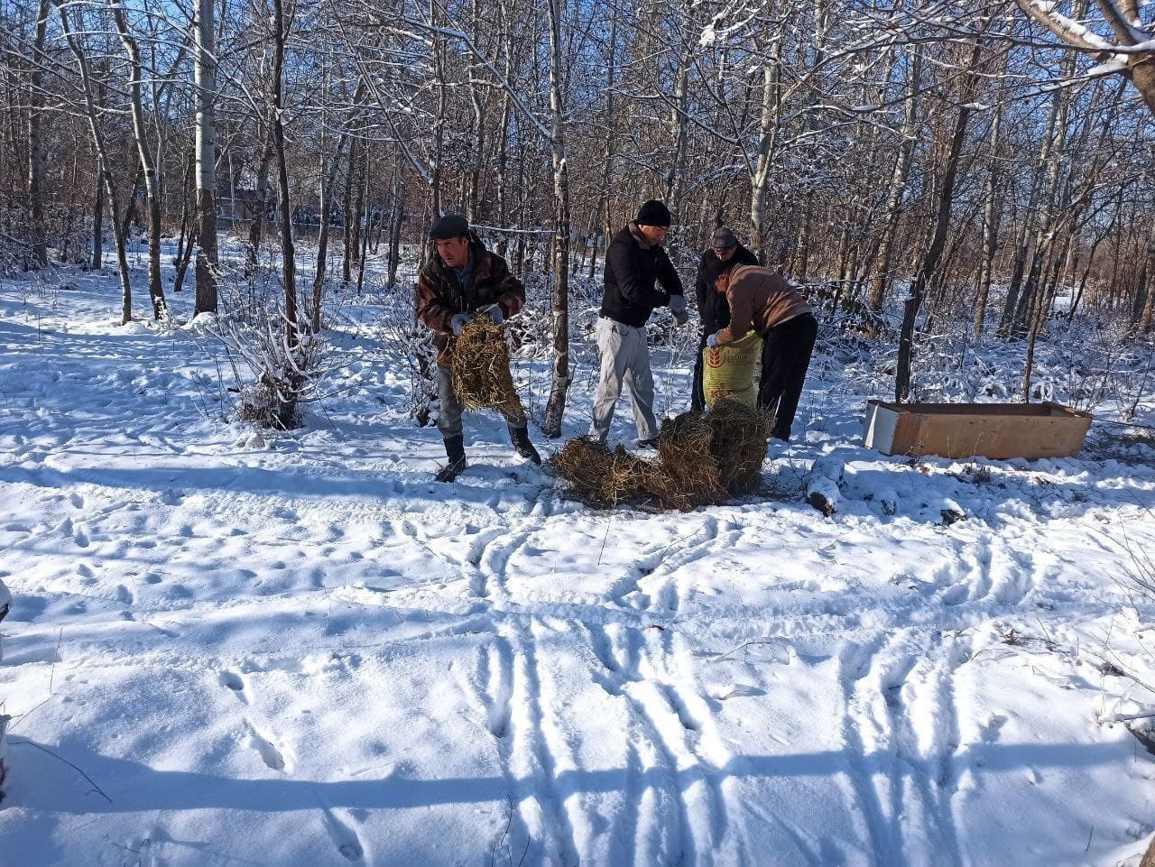 На охраняемых природных территориях страны проводят биотехнические мероприятия