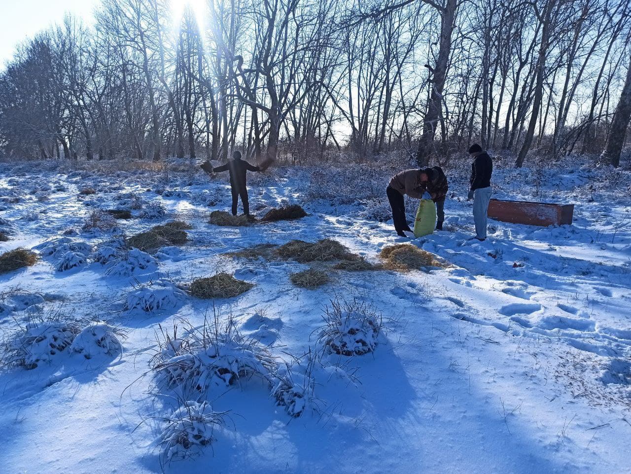 На охраняемых природных территориях страны проводят биотехнические мероприятия