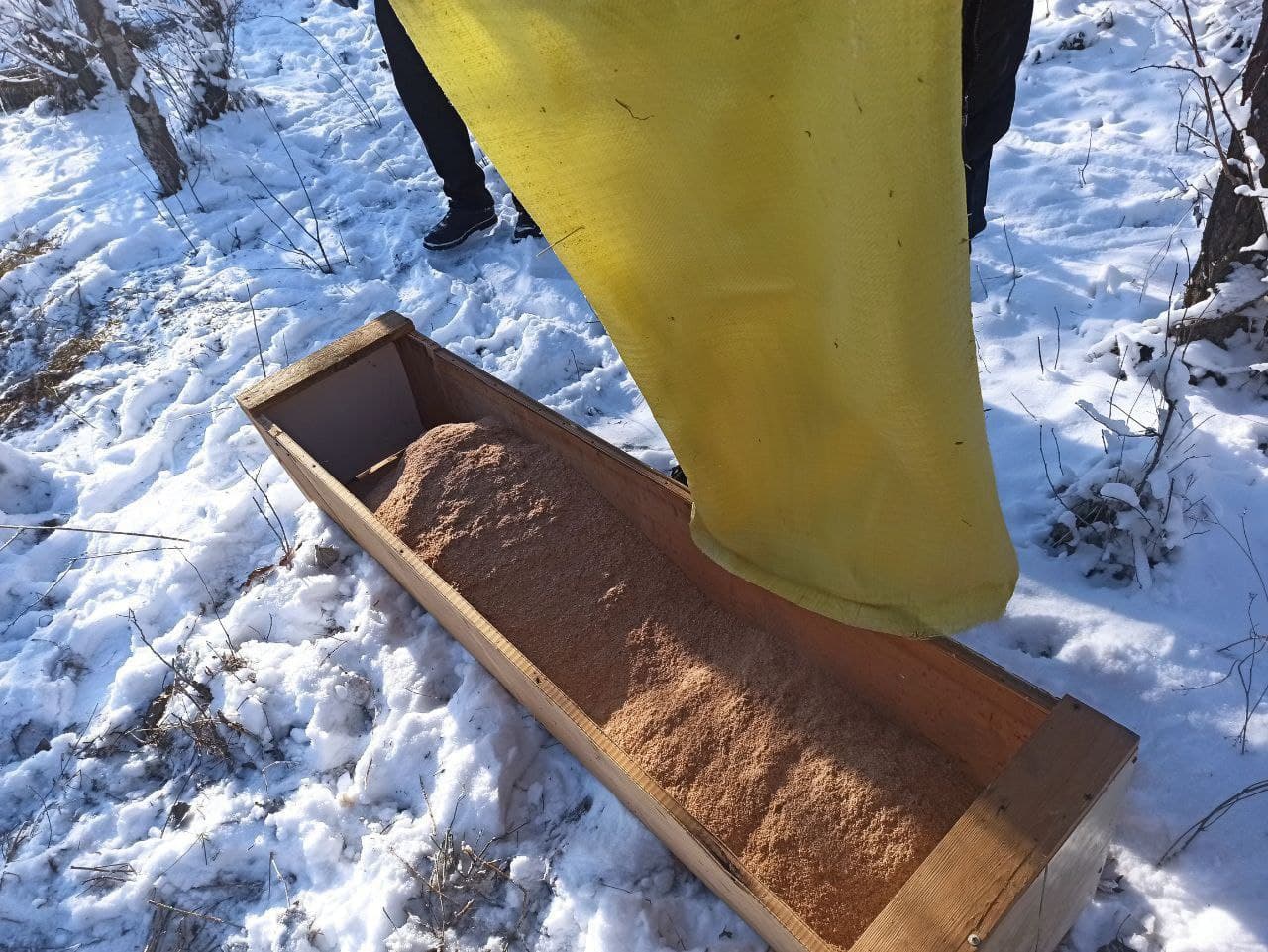 На охраняемых природных территориях страны проводят биотехнические мероприятия