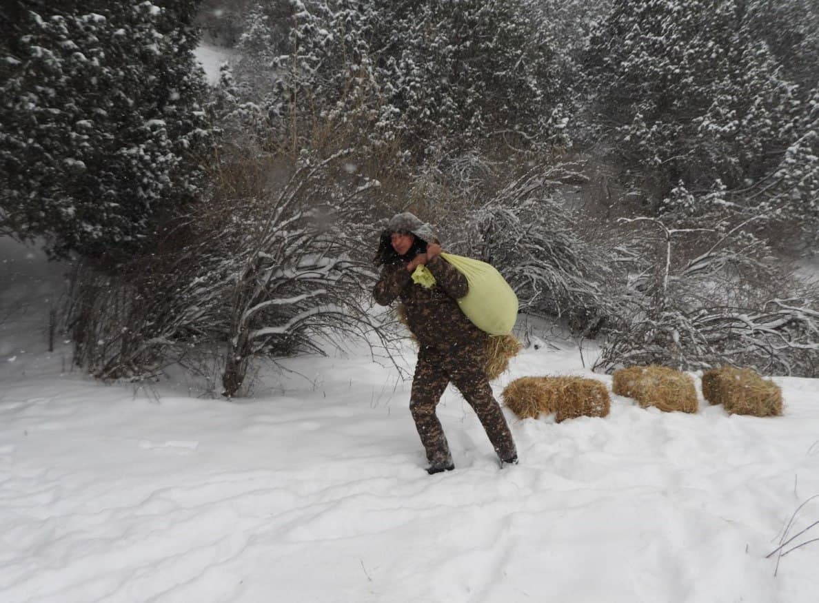 На охраняемых природных территориях страны проводят биотехнические мероприятия