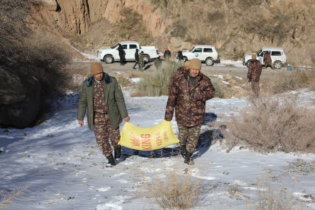 На охраняемых природных территориях страны проводят биотехнические мероприятия