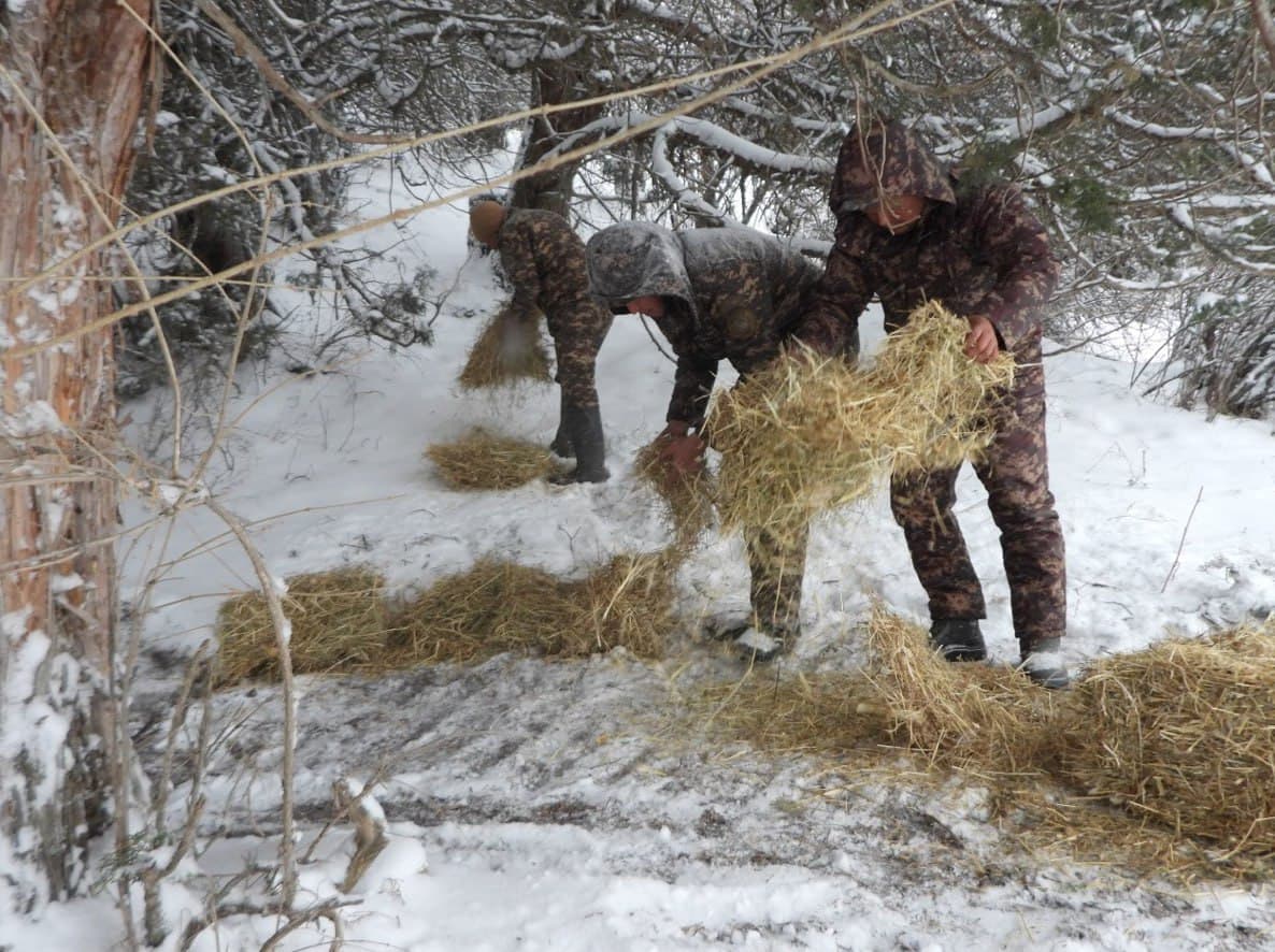 На охраняемых природных территориях страны проводят биотехнические мероприятия