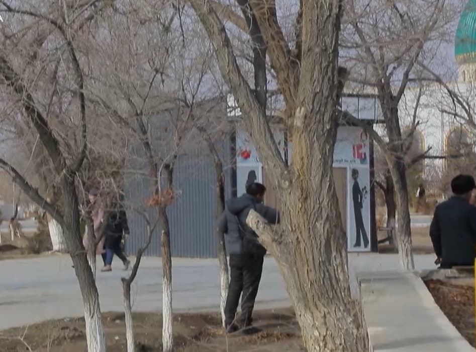 Xalal berayotgan daraxtlarni kesishni so’ragan fuqaro murojaati o’rganildi