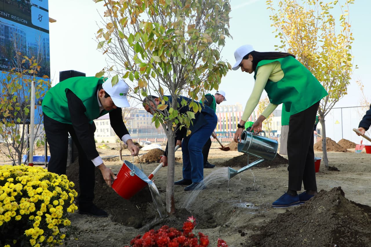 Who is awarded the status of "Eco-active citizen" and what advantages does it give?