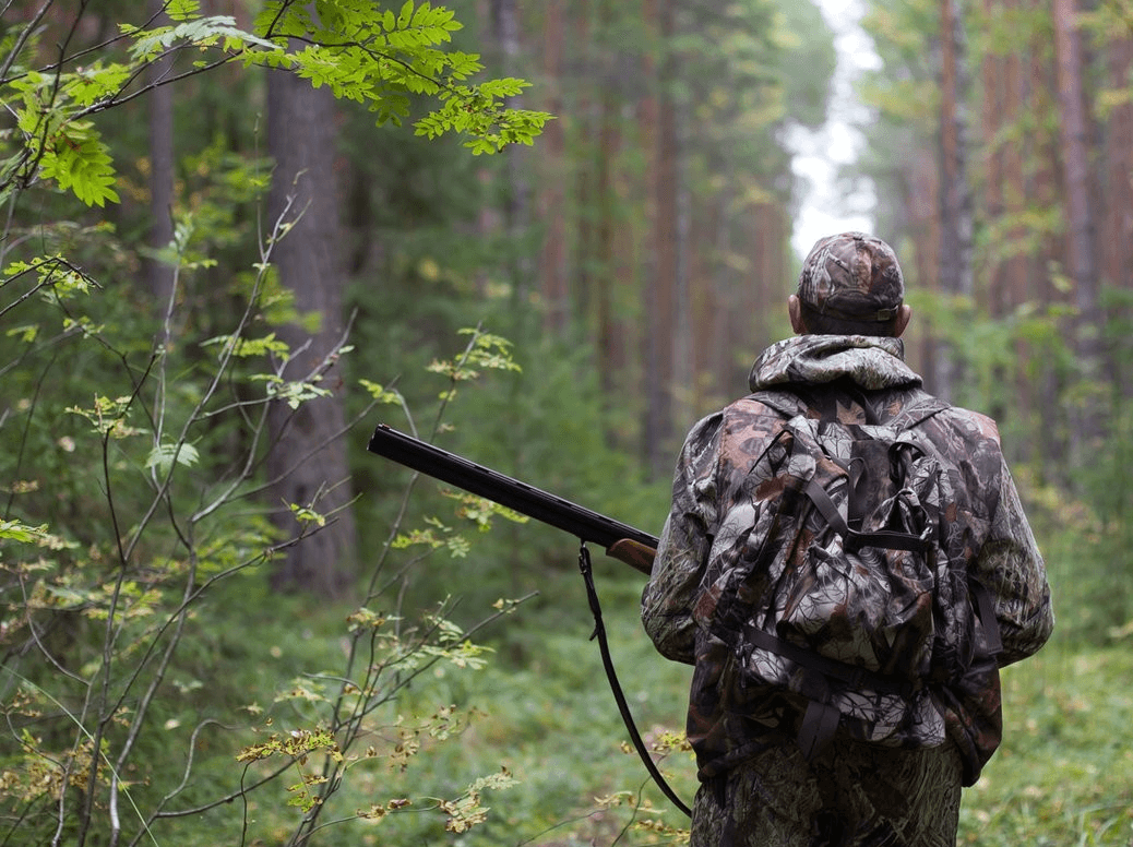 What Is the Purpose of a Hunting Moratorium?