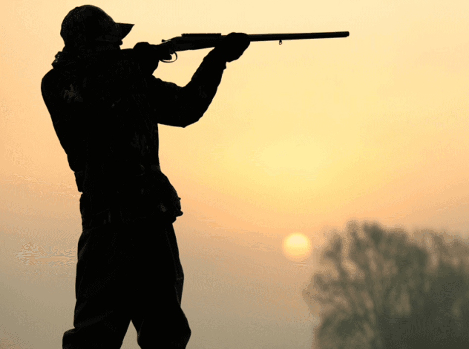 What Is the Purpose of a Hunting Moratorium?