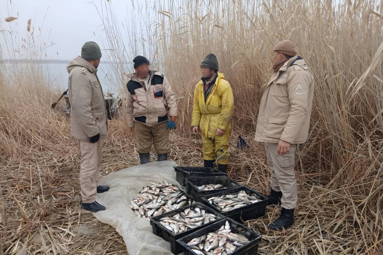Noqonuniy baliq ovlash natijasida tabiatga qariyb yarim milliard so‘mlik zarar yetkazildi