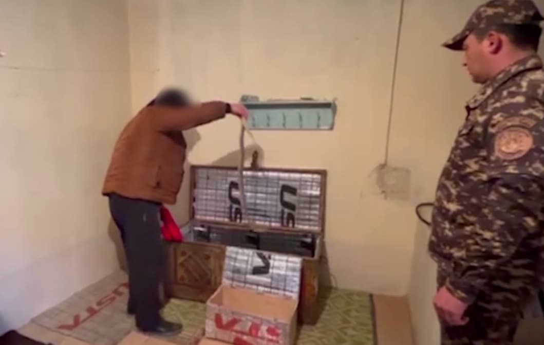 Кобры изъяты, а документы направлены в суд