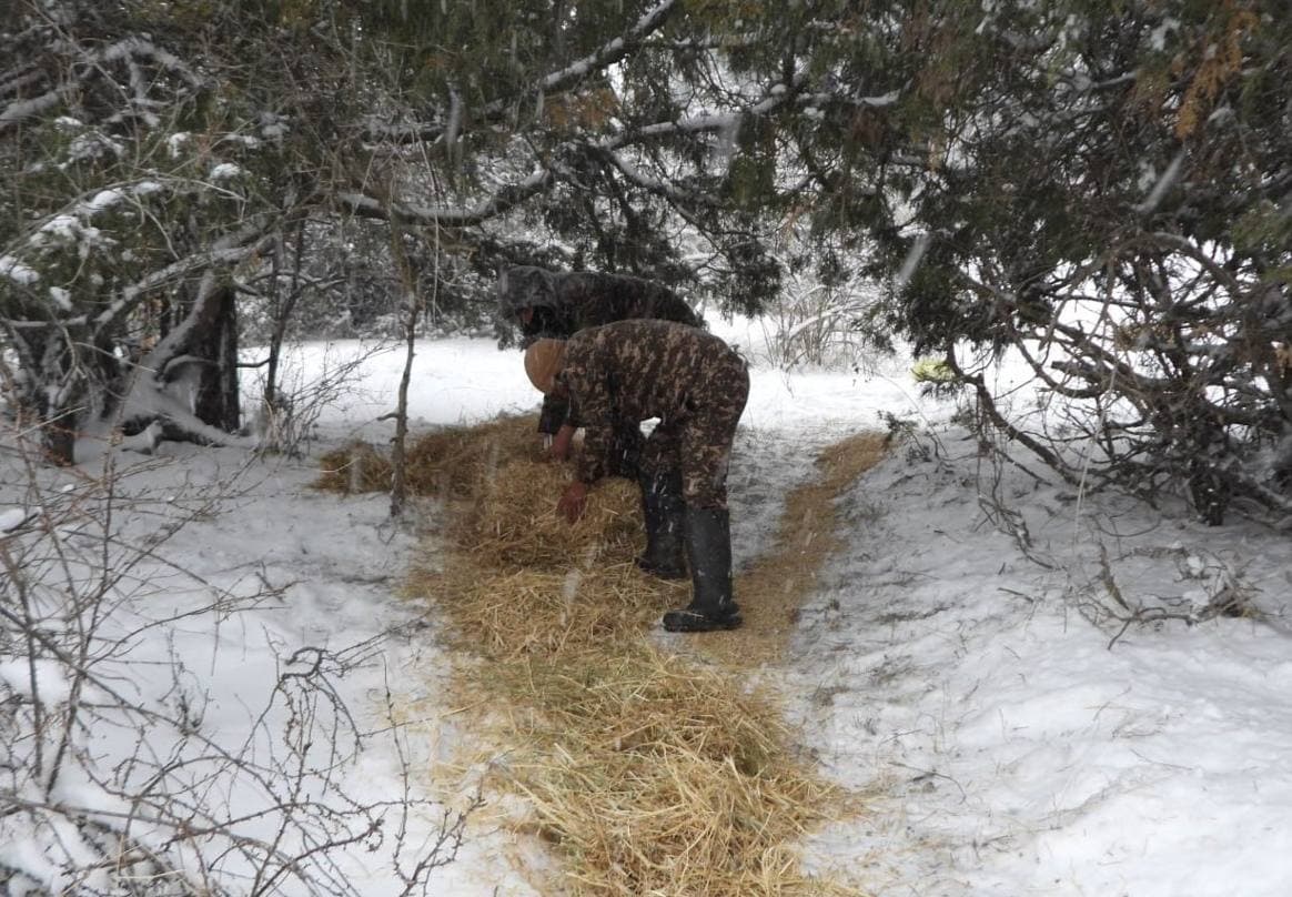 The procedure for biotechnical measures has been defined