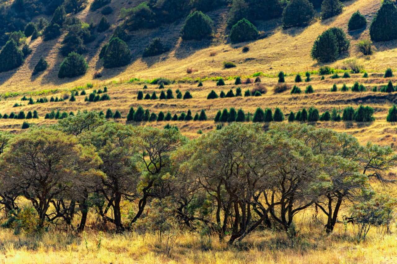 Priority areas of development in the "Year of Environmental Protection and "Green" Economy" were identified