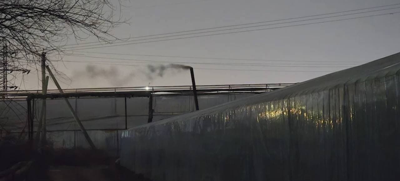 В теплицах Ташкентской области проведены очередные ночные рейды