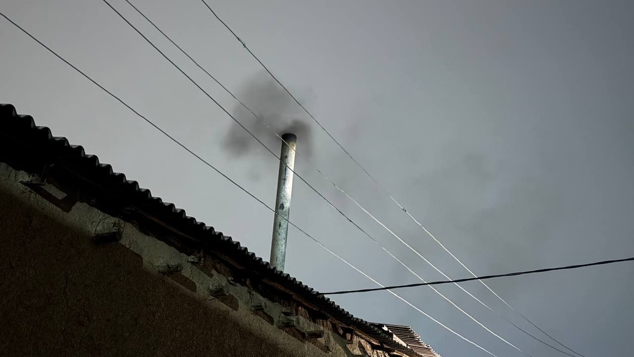 Tungi reyd: Toshkent viloyatidagi issiqxonalar faoliyati o‘rganildi