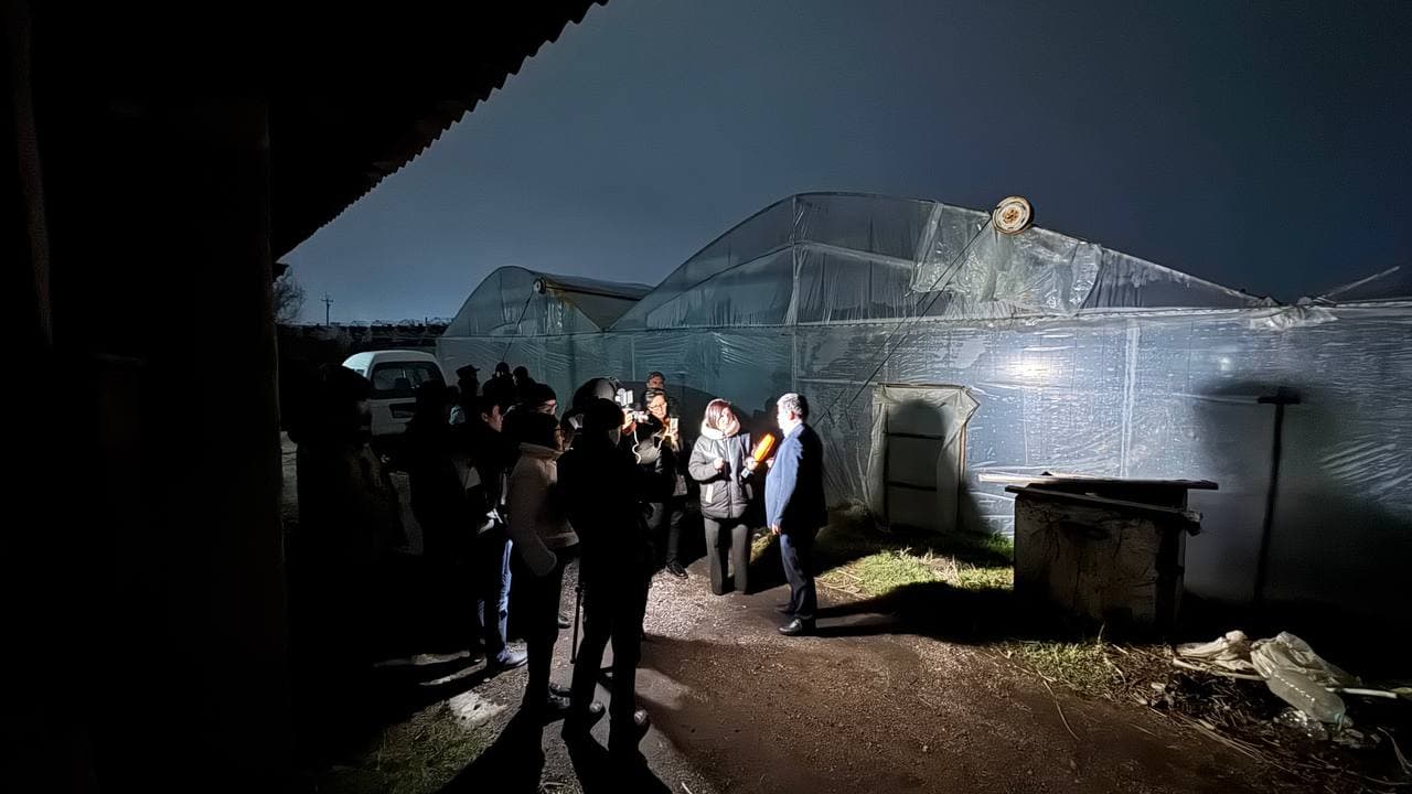 Tungi reyd: Toshkent viloyatidagi issiqxonalar faoliyati o‘rganildi