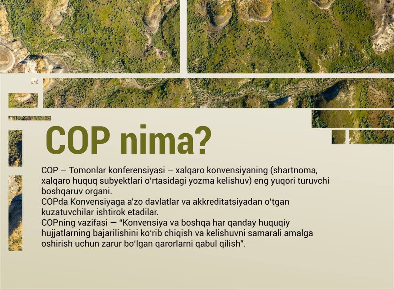 What is COP and Its role in Uzbekistan’s sustainable future?