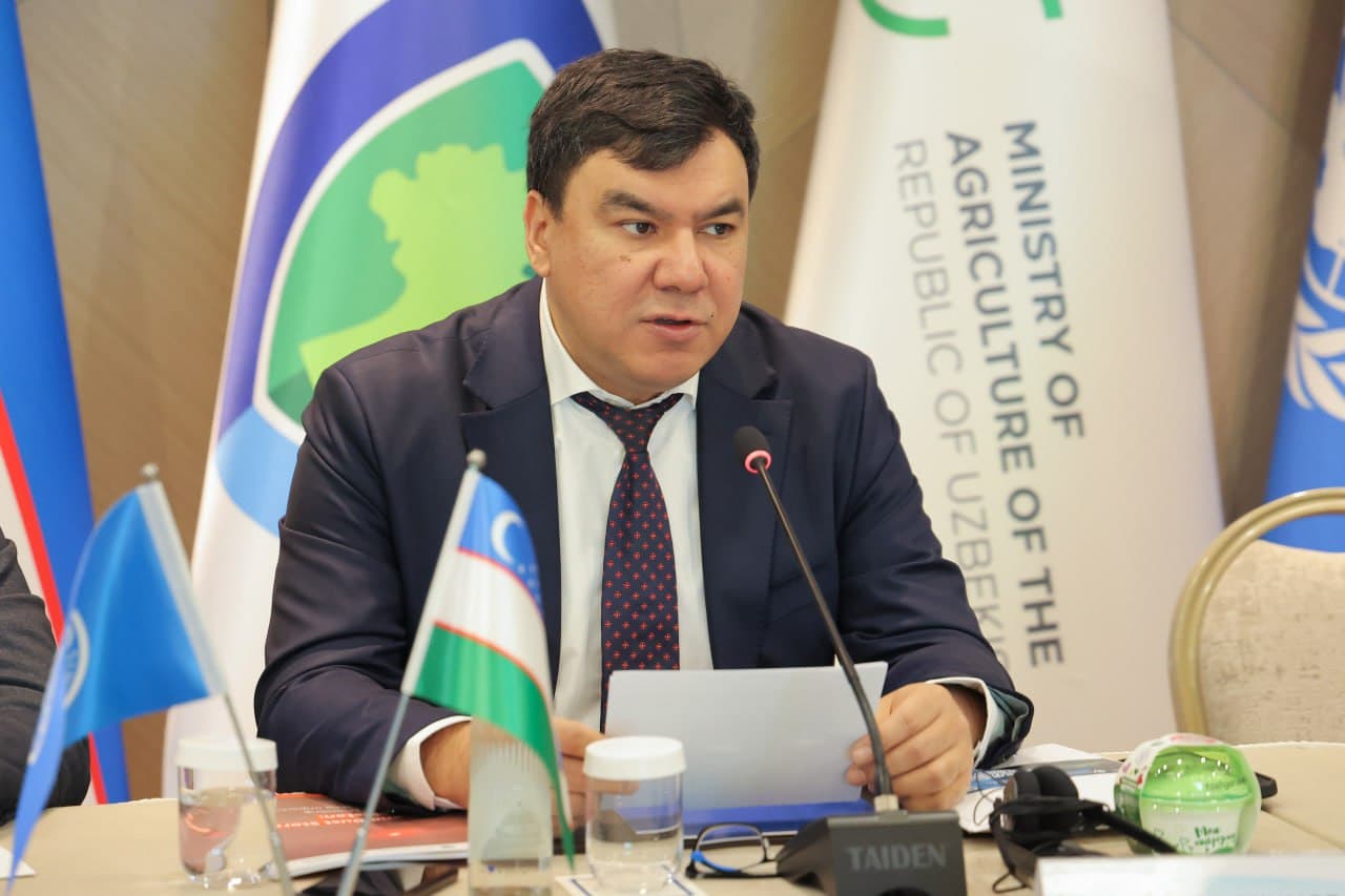 Uzbekistan implements a project on sustainable forest and rangelands management