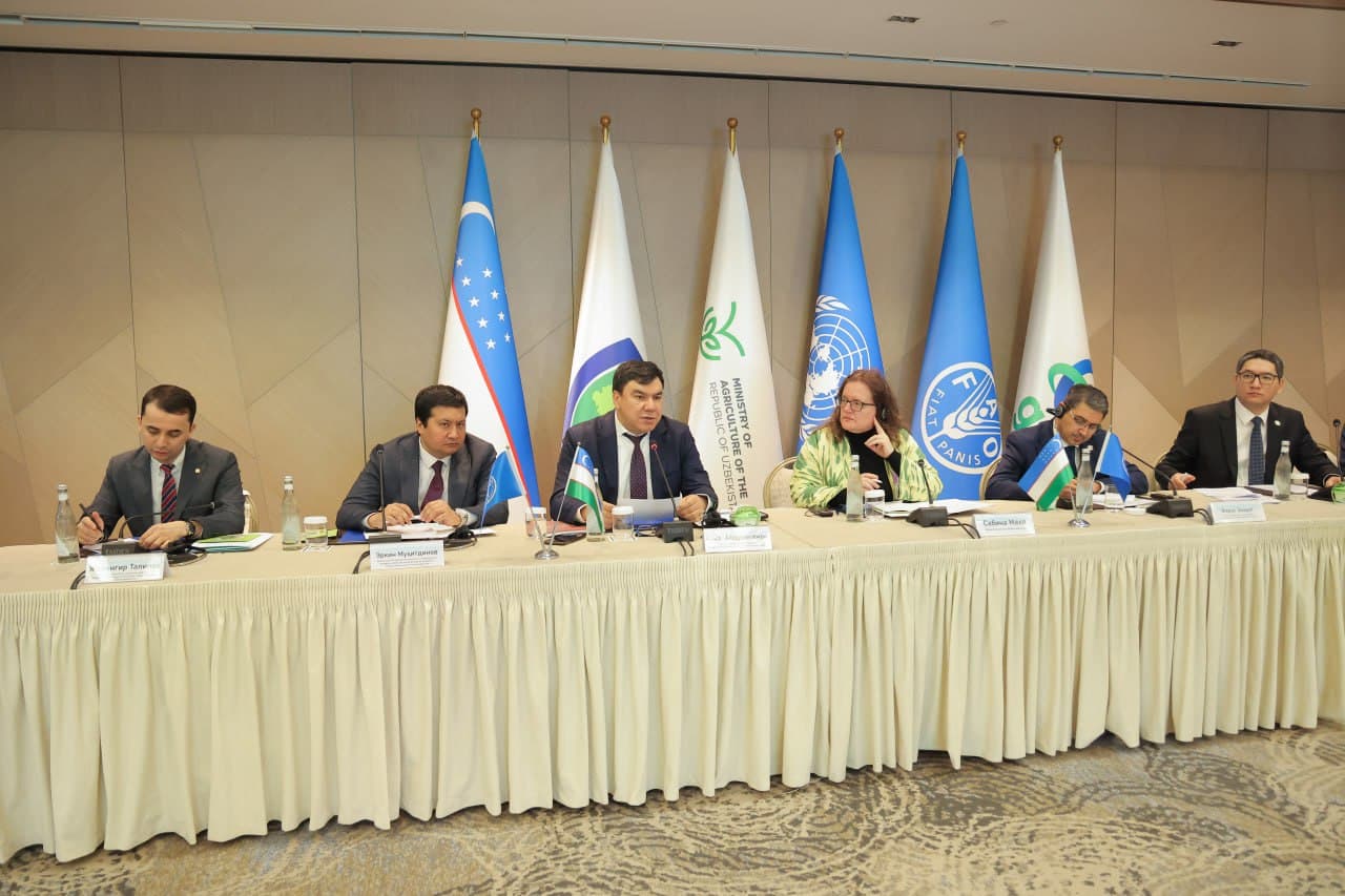Uzbekistan implements a project on sustainable forest and rangelands management