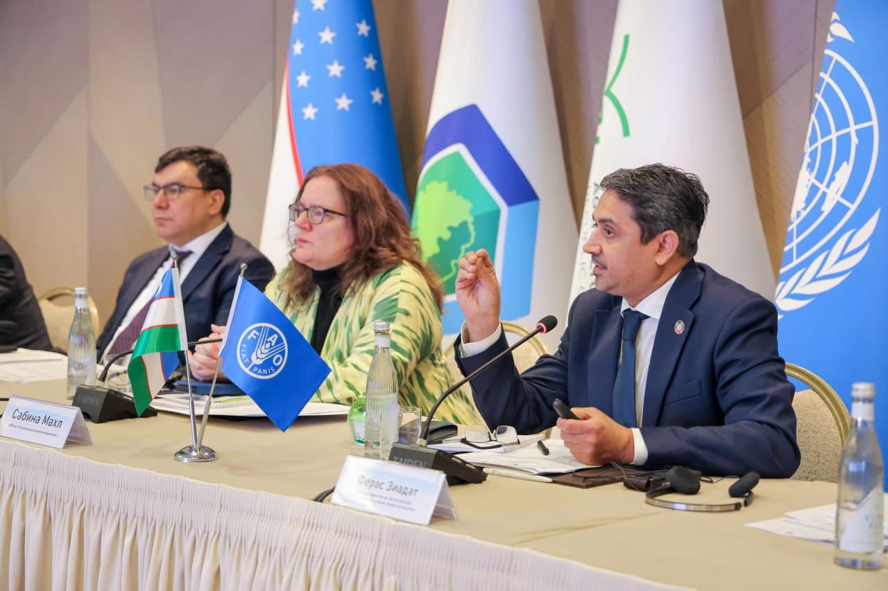 Uzbekistan implements a project on sustainable forest and rangelands management