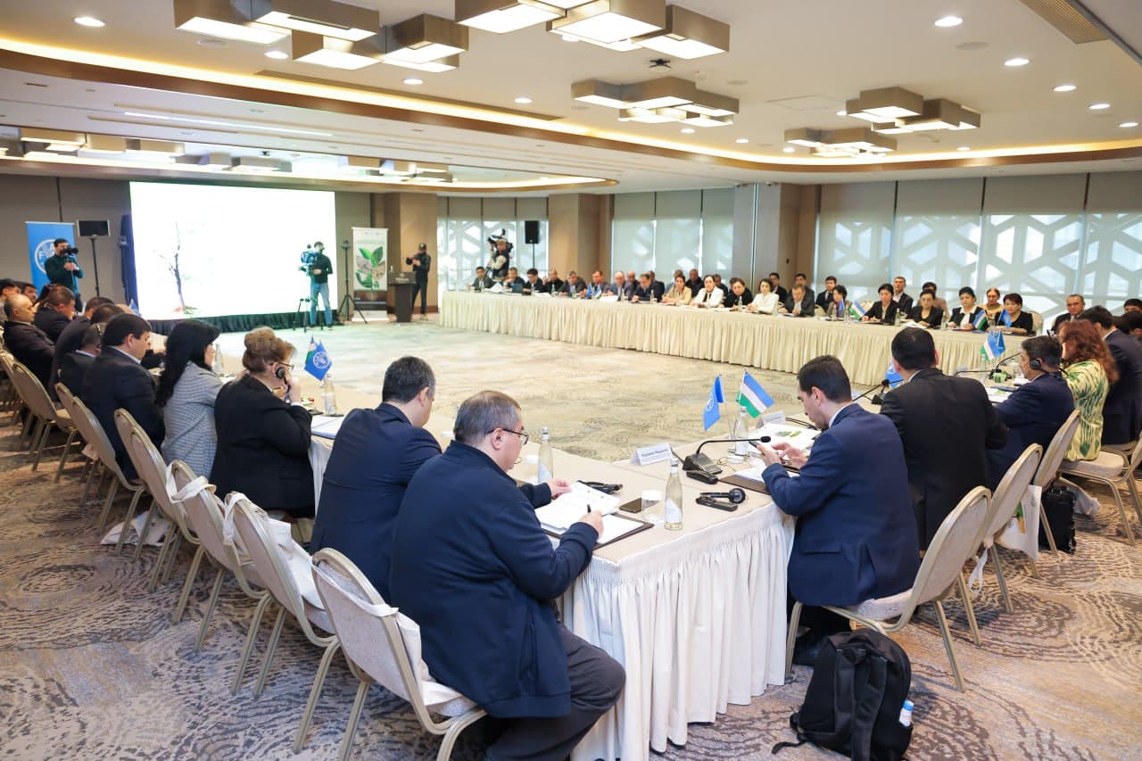 Uzbekistan implements a project on sustainable forest and rangelands management