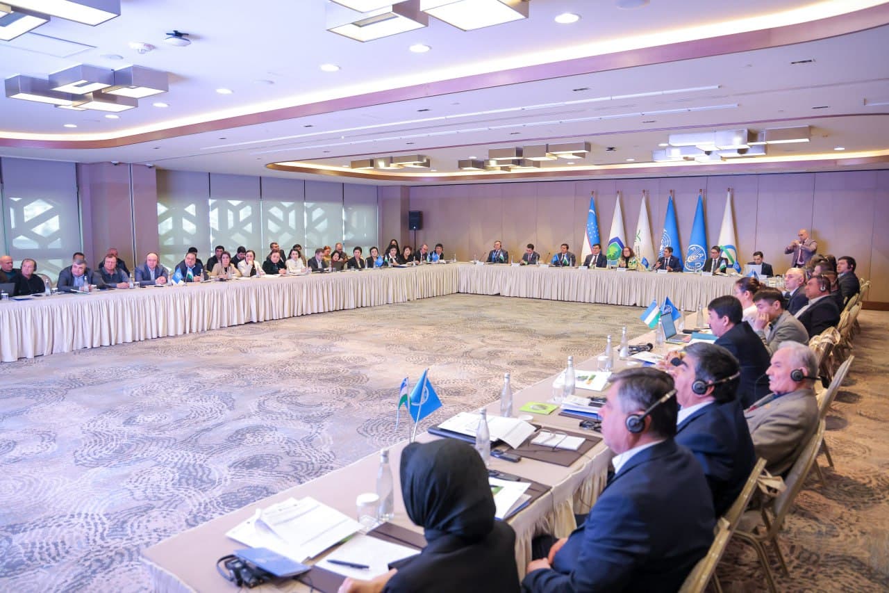 Uzbekistan implements a project on sustainable forest and rangelands management