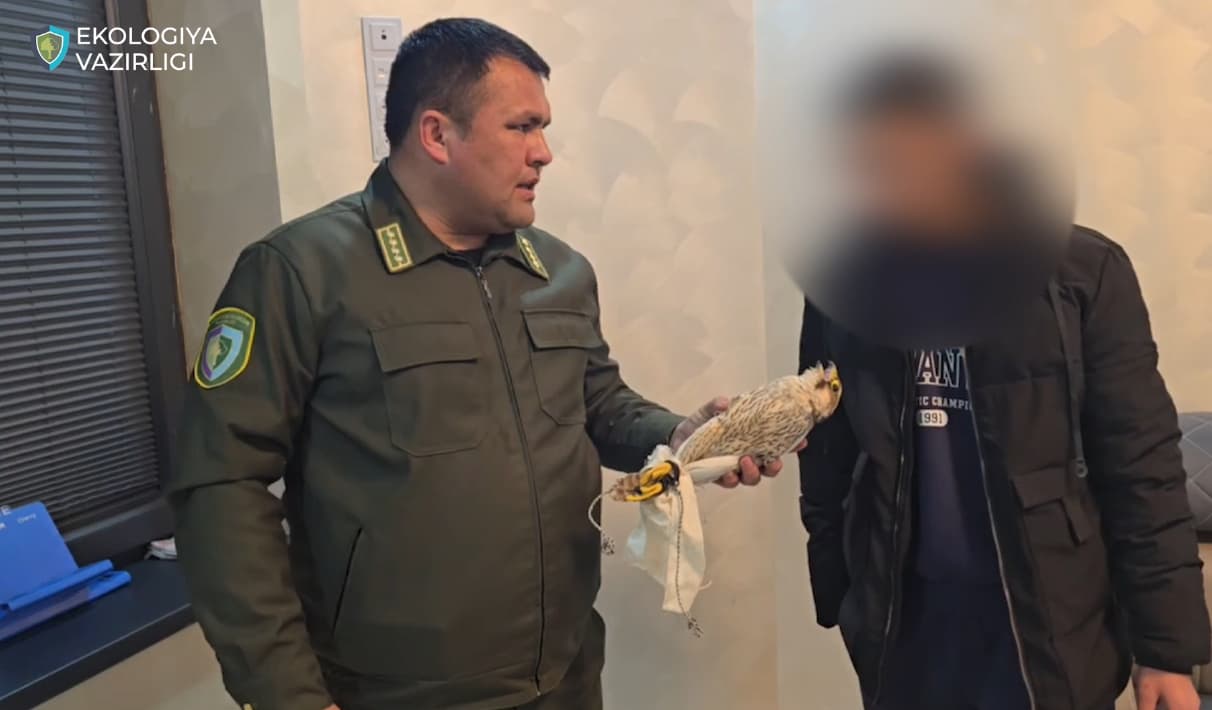 В Ферганской области задержан гражданин, пытавшийся продать краснокнижную птицу