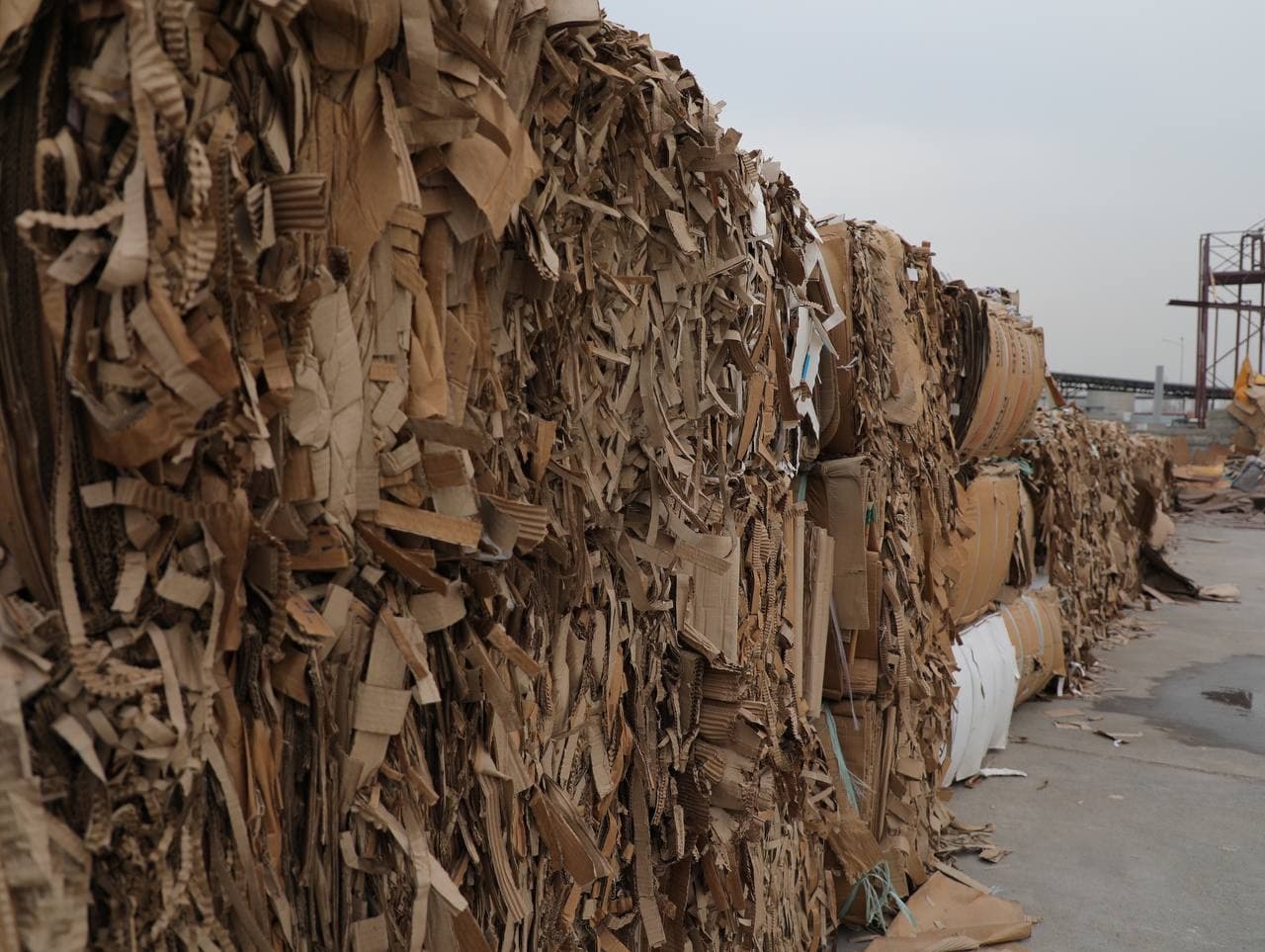 Waste recycling in Uzbekistan: a step towards a "Green" Economy