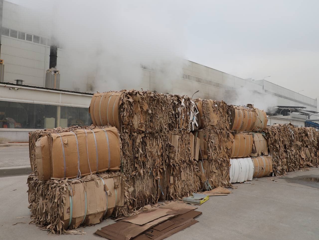 Waste recycling in Uzbekistan: a step towards a "Green" Economy