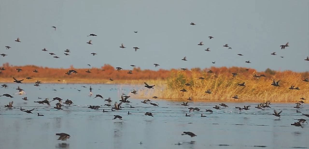 March 3 – World Wildlife Day