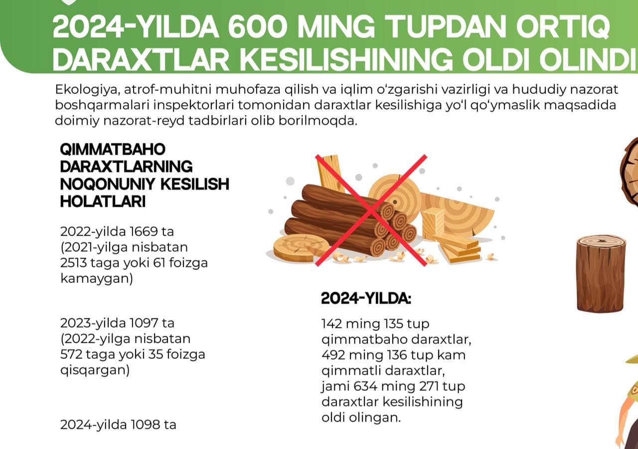 В 2024 году удалось предотвратить вырубку более 600 тысяч деревьев