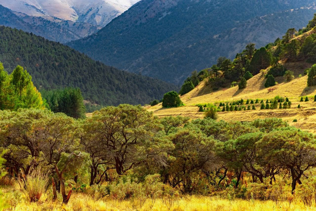 Узбекистан ратифицировал Орхусскую конвенцию