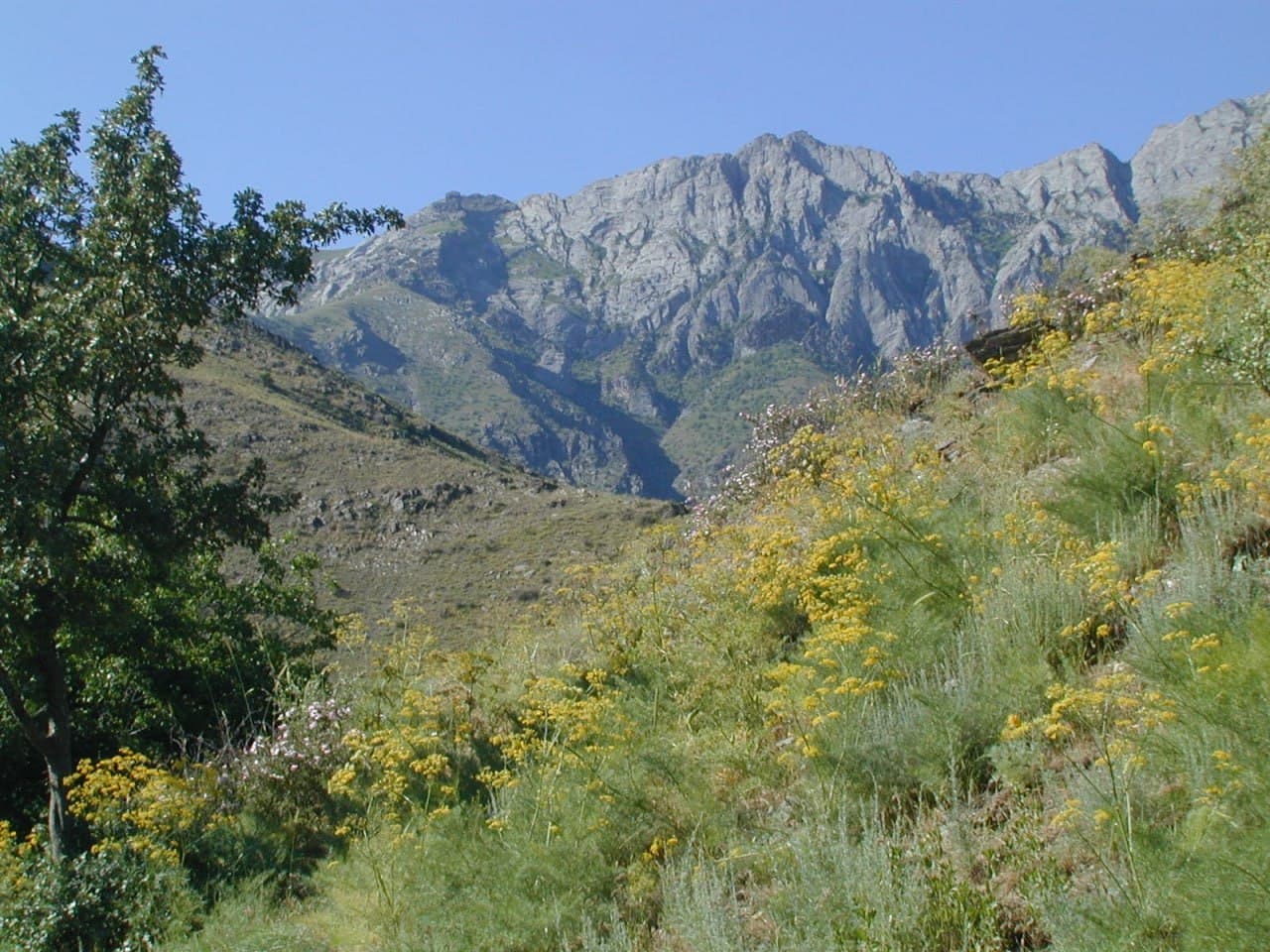 Uch muhofaza etiladigan tabiiy hududlar maydoni kengaytirildi