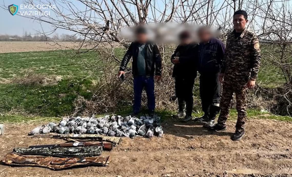 Yangiyo‘lda 50 dan ortiq kaptar noqonuniy ovlangani aniqlandi