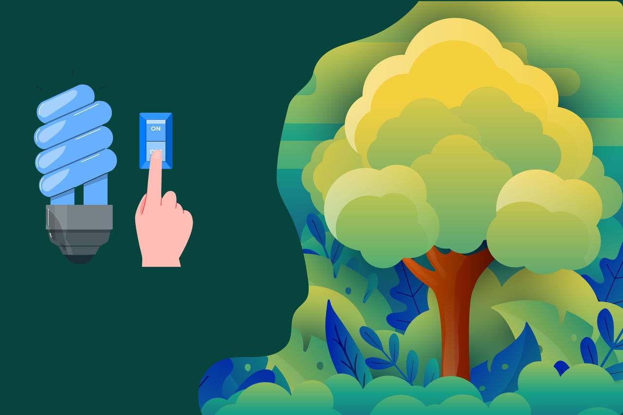 Отключите электричество на час – поддержите природу