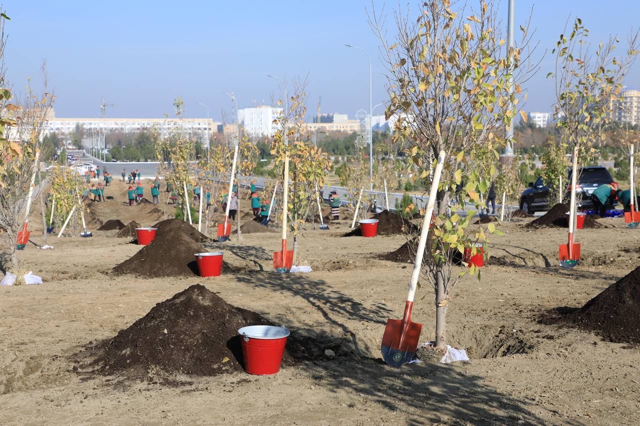 Стартовал новый сезон проекта «Мой сад»