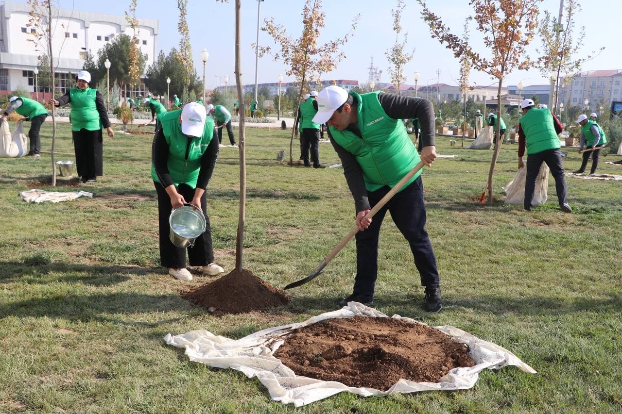 Стартовал новый сезон проекта «Мой сад»