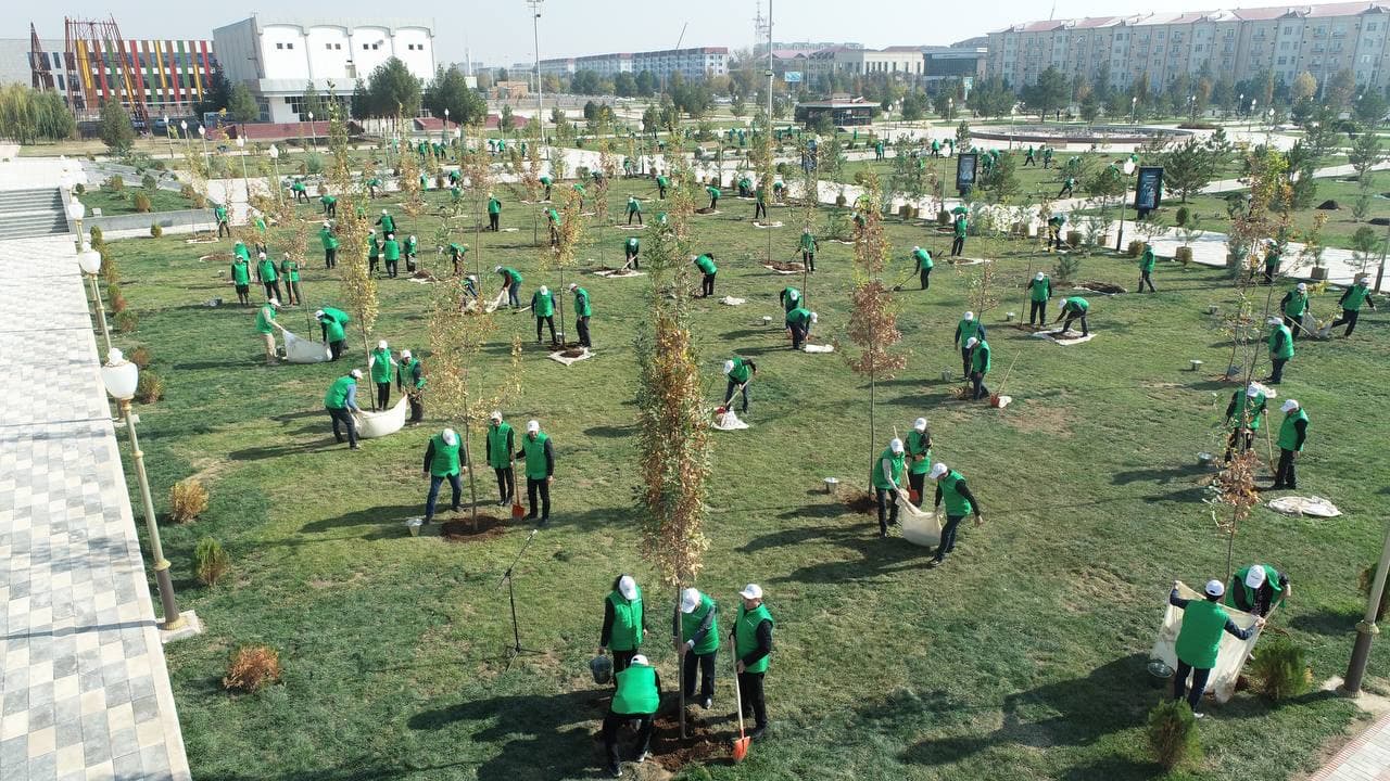 Стартовал новый сезон проекта «Мой сад»