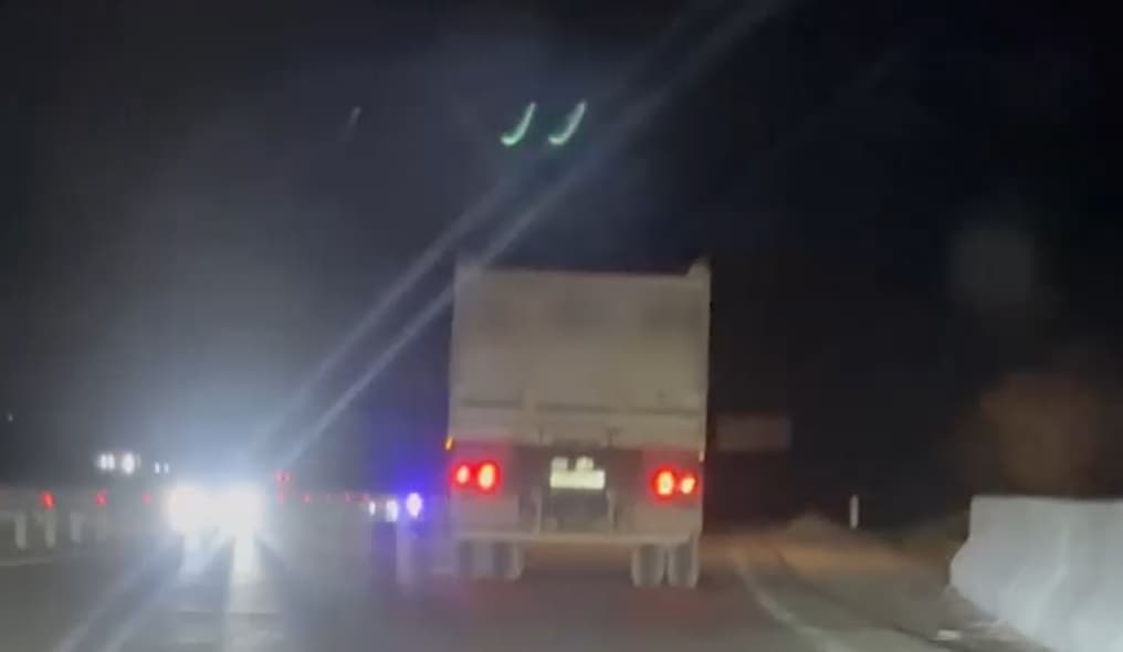 Bo‘stonliqda tabiatga toʻrt milliard soʻmdan ortiq zarar yetkazildi