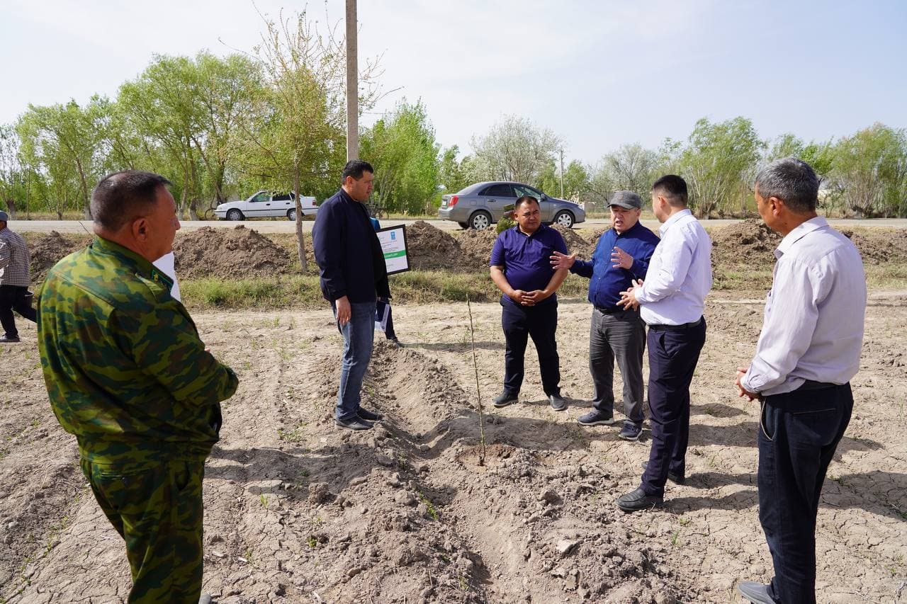Orolbo‘yi hududini obodonlashtirish maqsadida 3 ming tupdan ortiq daraxt ko‘chatlari ajratildi