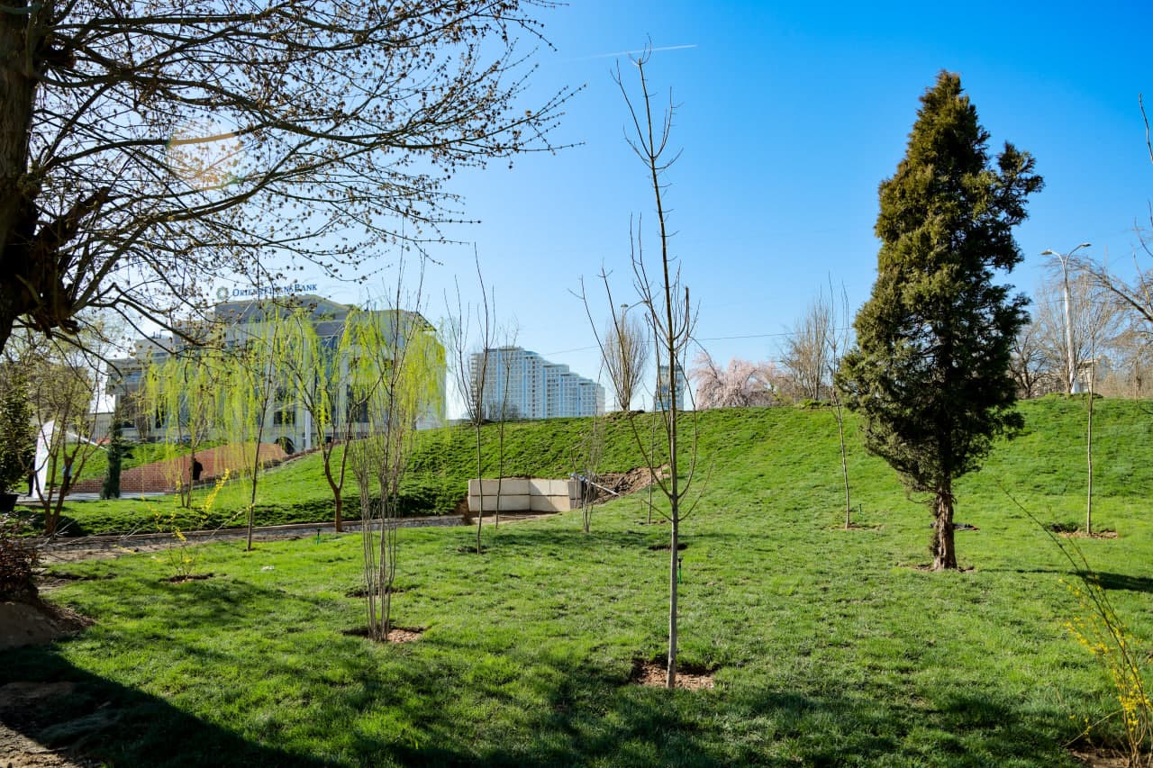 Из заброшенного участка в зелёный сад: Первый общественный зелёный парк станет одним из любимых мест для досуга