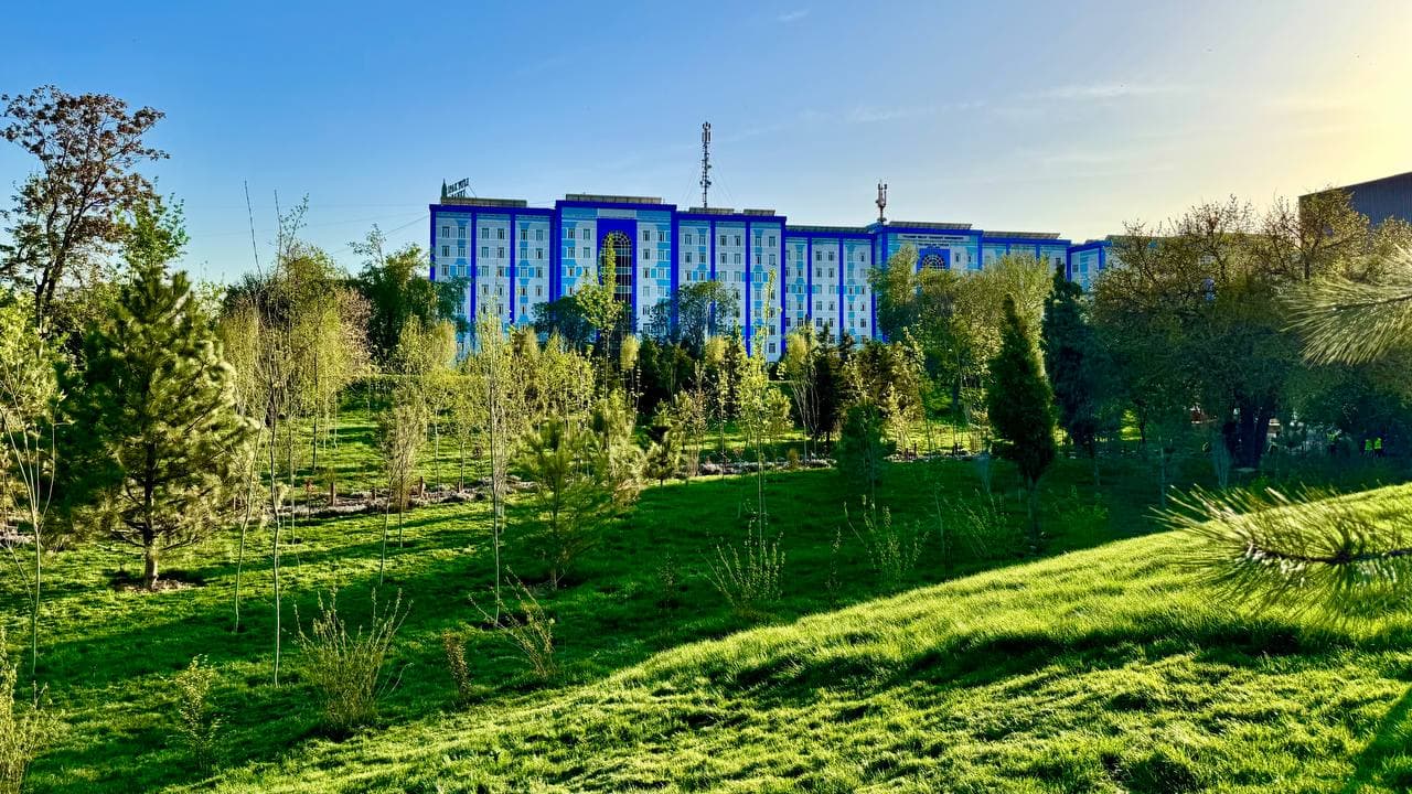 Из заброшенного участка в зелёный сад: Первый общественный зелёный парк станет одним из любимых мест для досуга