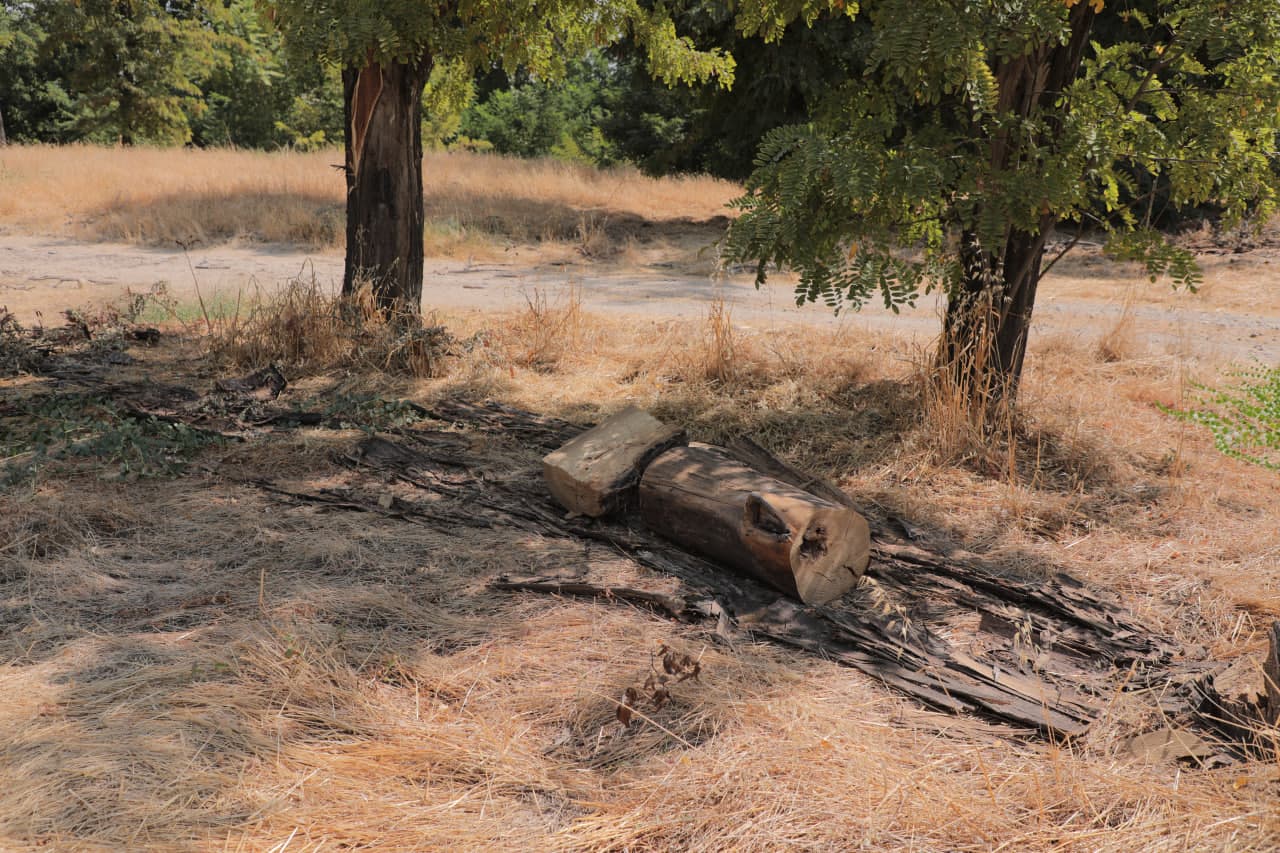 Из заброшенного участка в зелёный сад: Первый общественный зелёный парк станет одним из любимых мест для досуга
