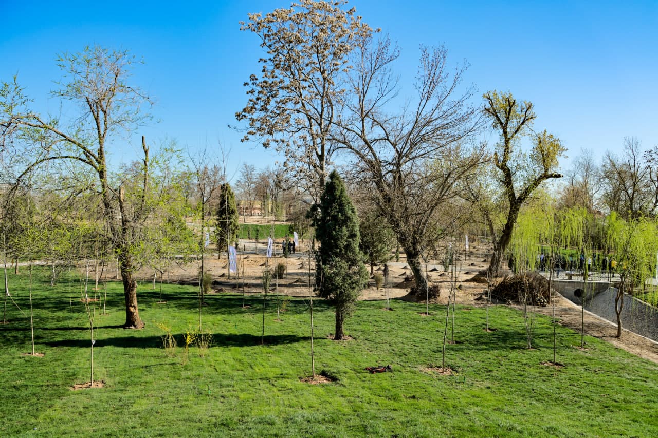 Из заброшенного участка в зелёный сад: Первый общественный зелёный парк станет одним из любимых мест для досуга