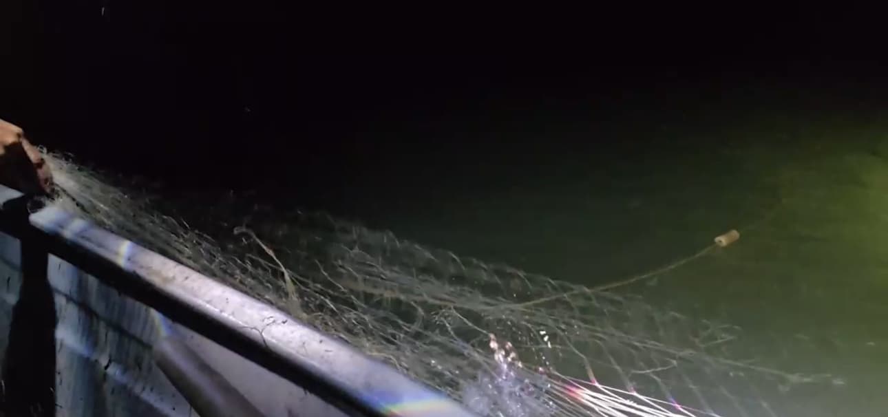 Sirdaryoda noqonuniy baliq ovlash natijasida tabiatga katta zarar yetkazildi